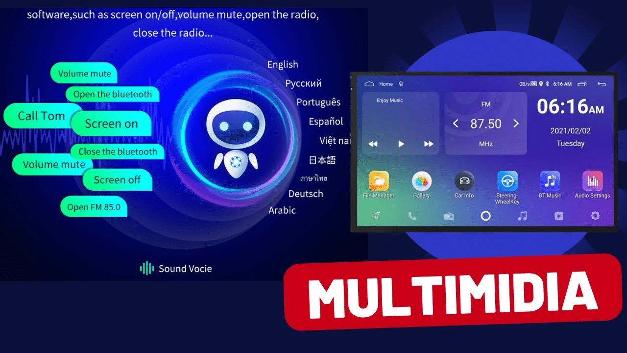 Attivazione una tantum dell'assistente vocale AI Toppal per sistema multimediale per auto